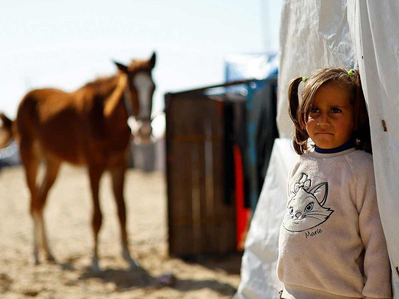 A displaced Palestinian child, who fled due to Israeli strikes, stands near a tent and a horse, in Rafah in the southern Gaza Strip. 