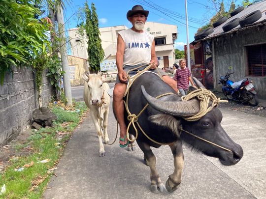 An elderly Filipino farmer rides a water buffalo
