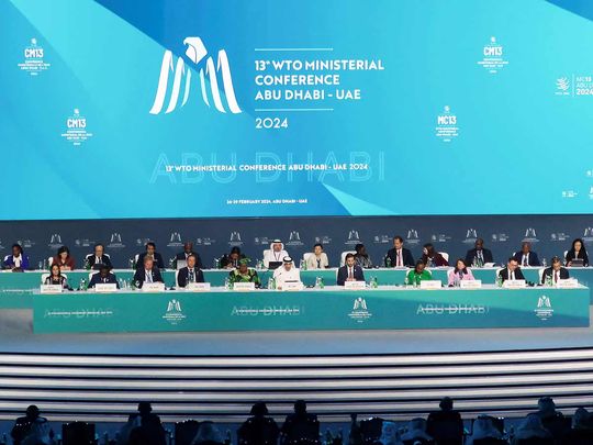 Delegates attend the 13th WTO ministerial conference in Abu Dhabi. 