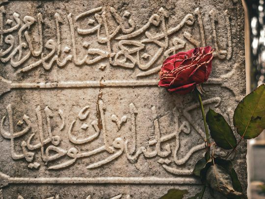 Flower on Grave Palestine
