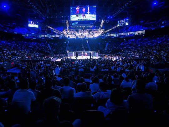 Abu Dhabi to host UFC Fight Night on 3 August