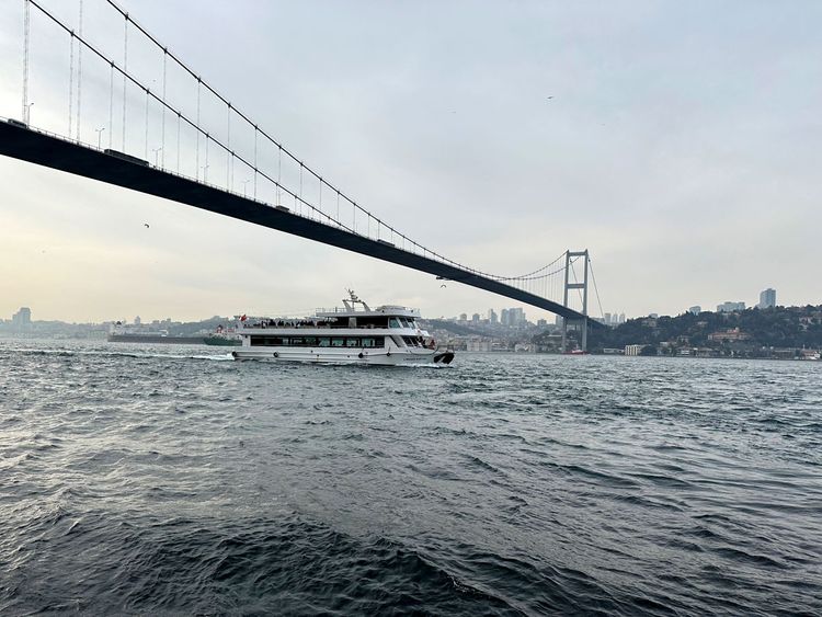 The Bosphorus Bridge 