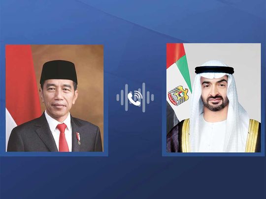 UAE President holds telephone call with Indonesian President