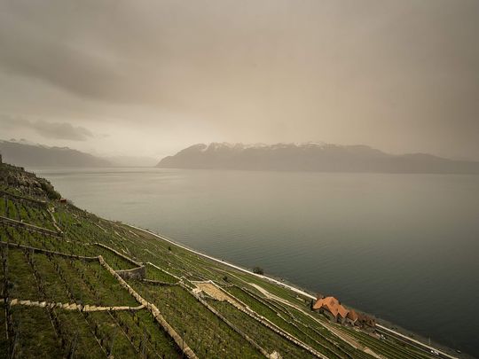 This photograph taken on March 30, 2024, shows thick sand dust blown in from the Sahara giving the sky a yellowish appearance above the vineyard terraces of Lavaux, on the banks of Lake Geneva, near Chexbres western Swizterland. 