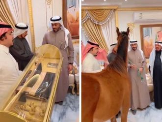 Watch: Child’s rescuer rewarded with cars, horse, cash