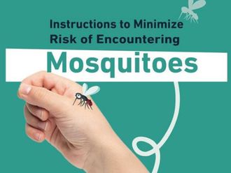 Fight mosquitoes with these expert tips