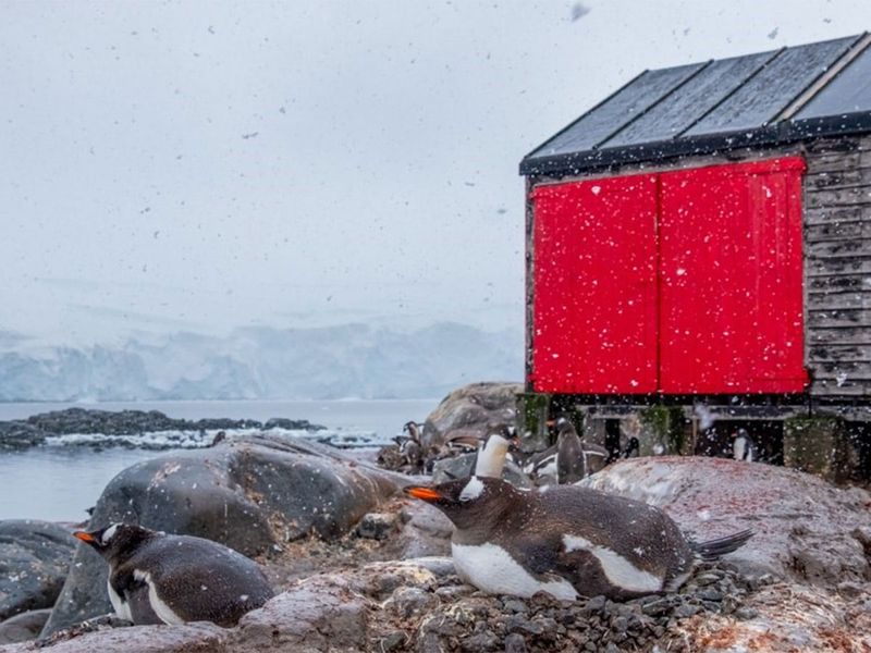The world’s southernmost post office, in Port Lockroy, Antarctica.