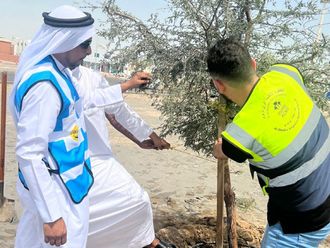 Look: Abu Dhabi restores public areas after rains