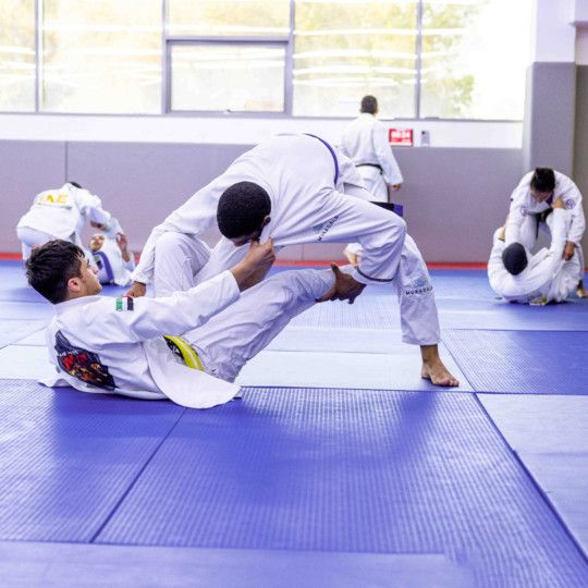 UAE's Youth Jiu-Jitsu team-1714930418035