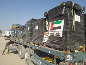 UAE announces delivery of 400 tonnes of food to Gaza