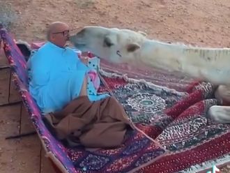 Watch: Camel gives warm welcome to owner