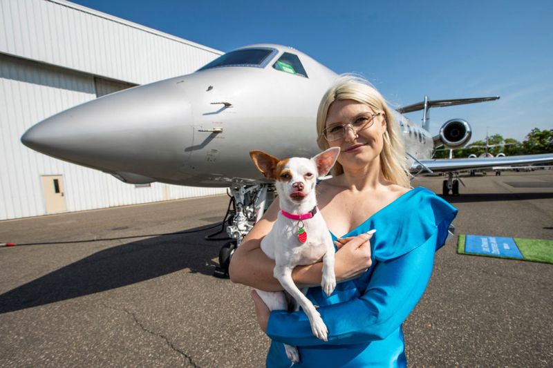 Copy of 2024-05-21T173458Z_1377319080_RC22V7ATB96V_RTRMADP_3_AIRLINES-DOGS-1716435591979