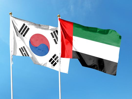 UAE KOREA FLAGS11-1716806429102