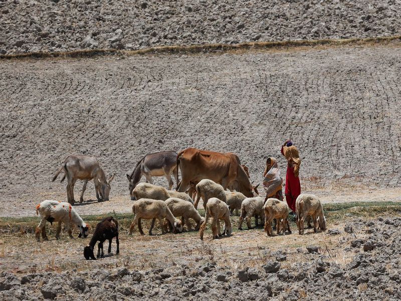 Heatwave scorches Pakistan