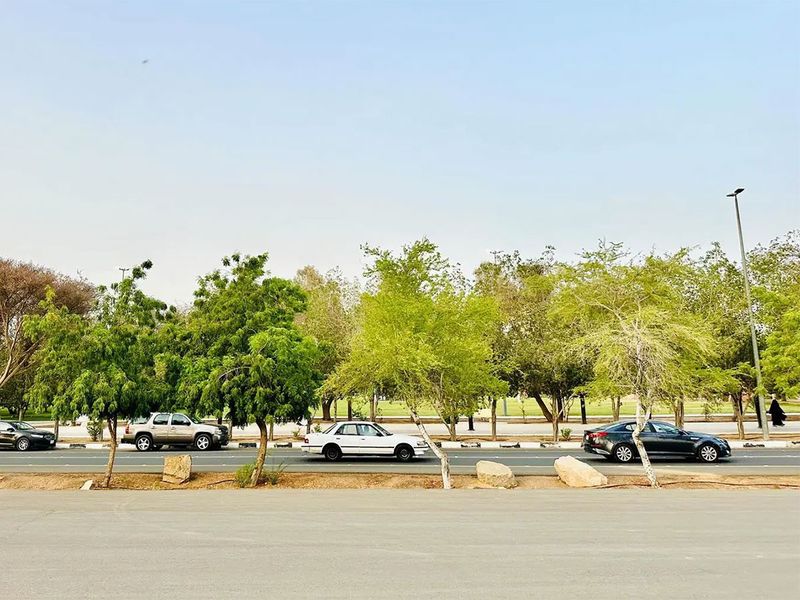 King Fahd Park