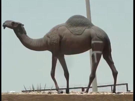 Camel defaced statue Saudi