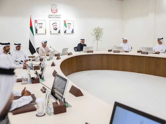 sheikh-khaled-approves-emirati-family-programme-while-chairing-exectuive-council-meeting-on-july-8-pic-on-wam-1720451233041