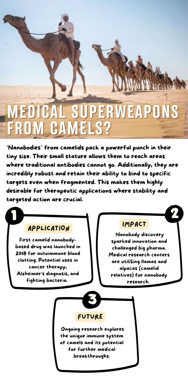 Camel nanobodies medical superweapons