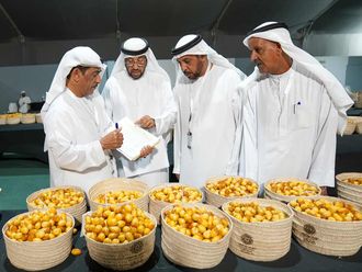 Sweeten your summer at Liwa Date Festival
