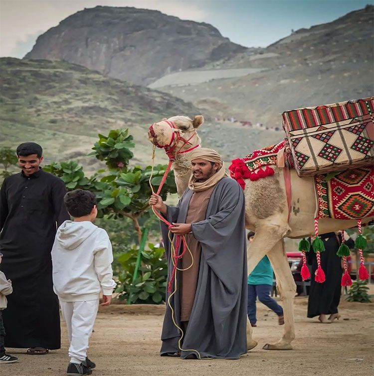 Camel Caravan