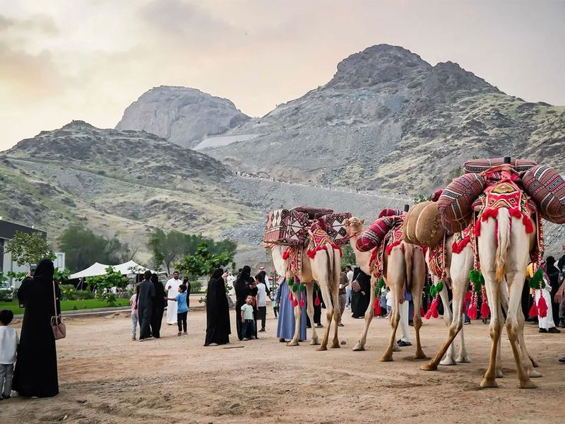 Camel Caravan