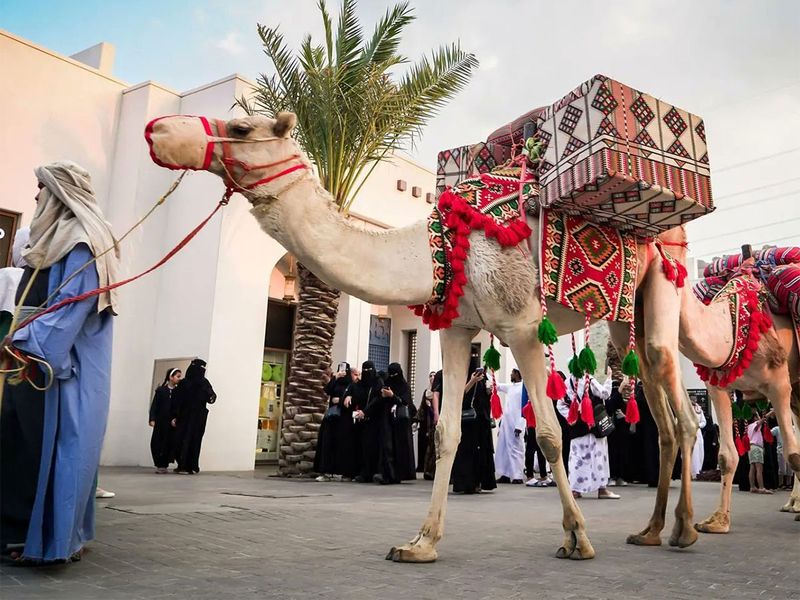 Camel Caravan