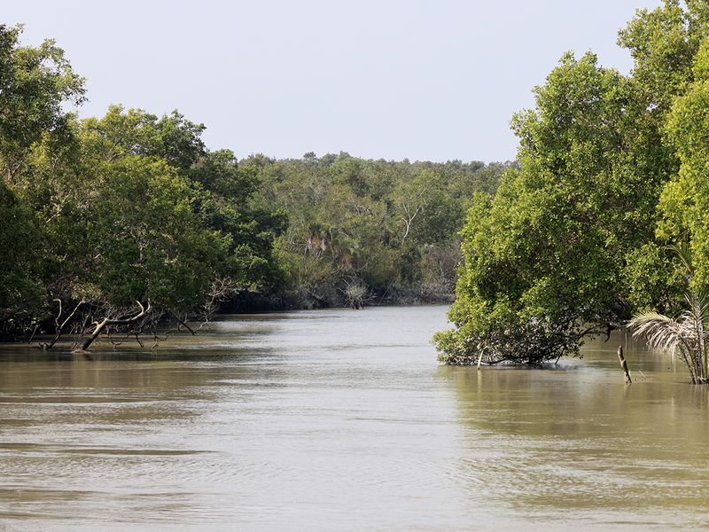 Sundarbans National Park