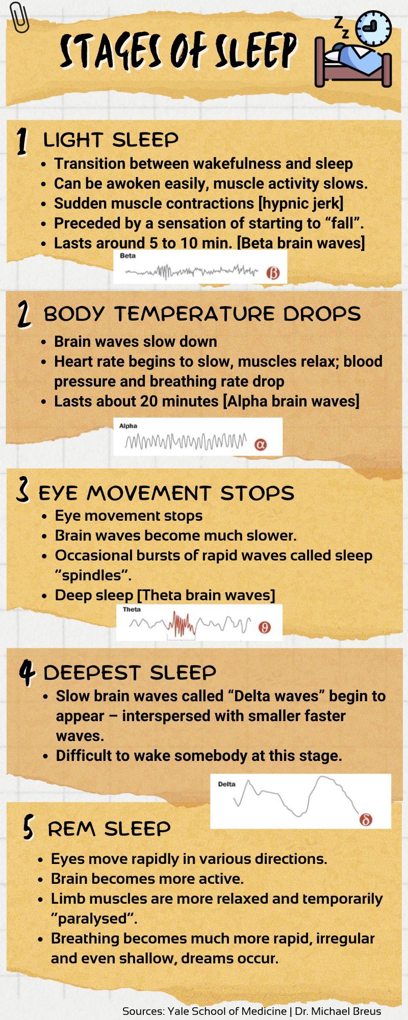 5 stages of sleep