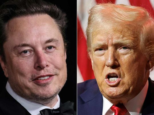 Elon Musk and Donald Trump, Donald Trump and Elon Musk