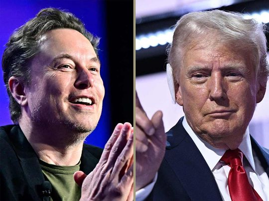 Elon Musk and Donald Trump, Donald Trump and Elon Musk