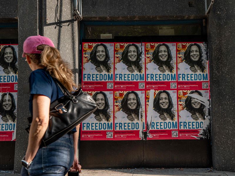 Kamala Harris takes centre stage at Democratic convention Americas