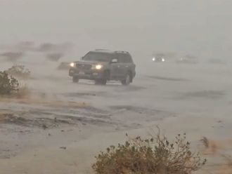 Watch: UAE experiences widespread rain and hail