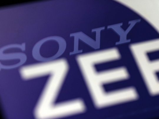 SONY ZEE