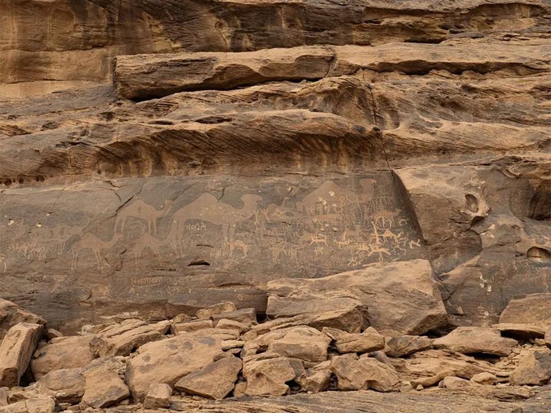 2024 najran rock art