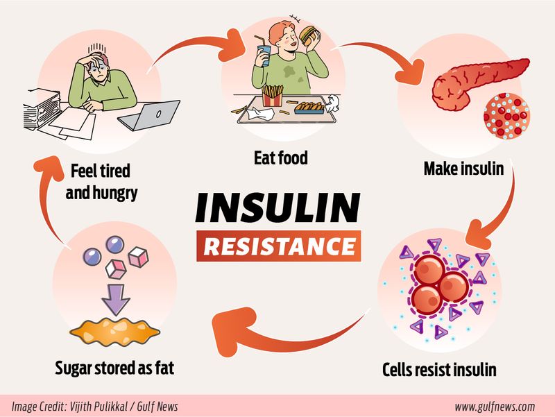 20240903 insulin resistance infographic