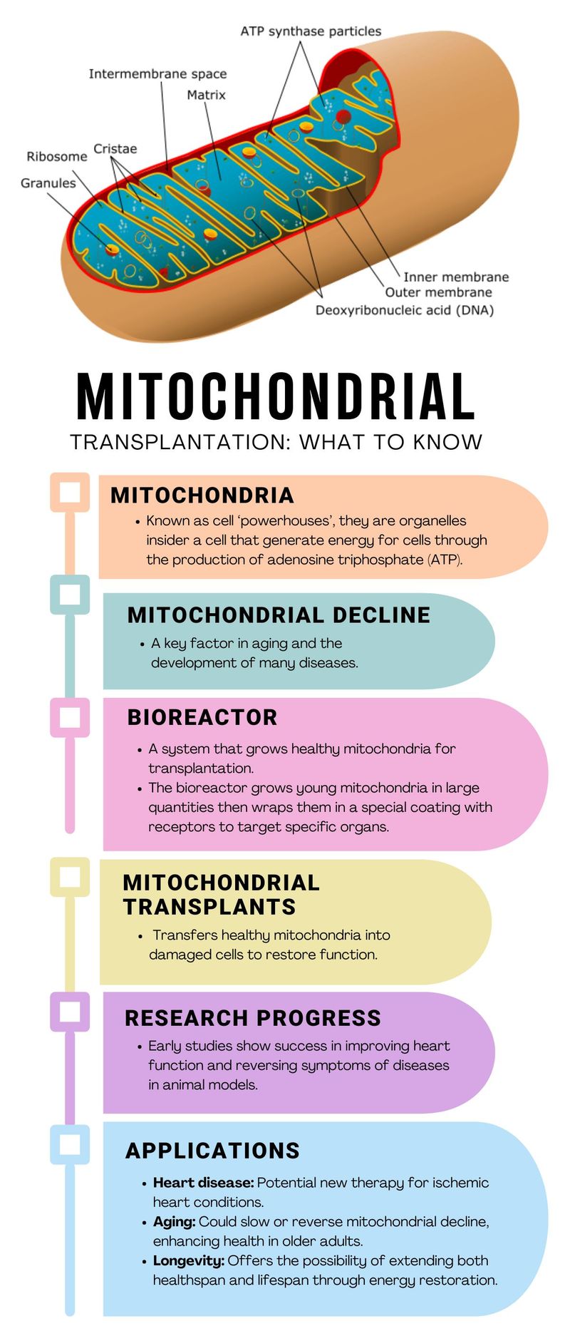 Mitochondria