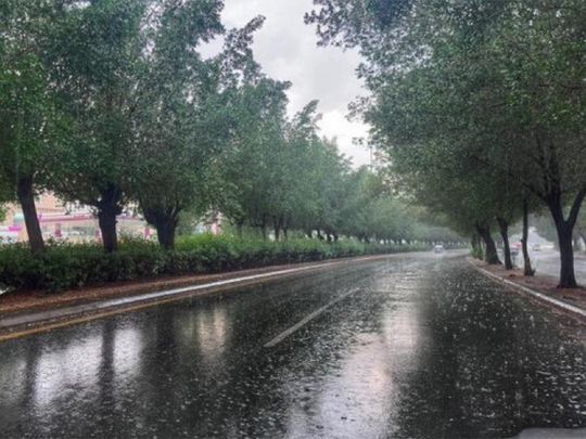 Heavy rains, storms expected across multiple regions in Saudi Arabia