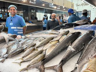 MINA ZAYED FISH MARKET