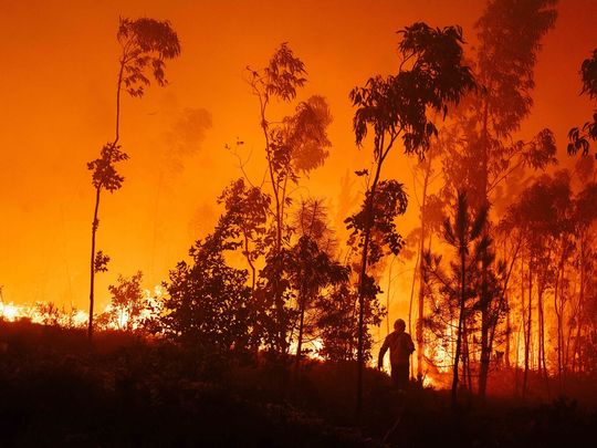 Portugal wildfire