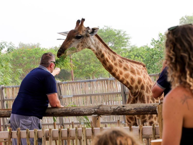 Dubai Safari Park