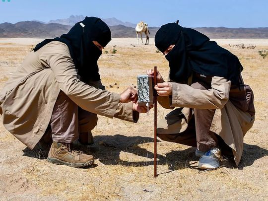 saudi women eco patrol