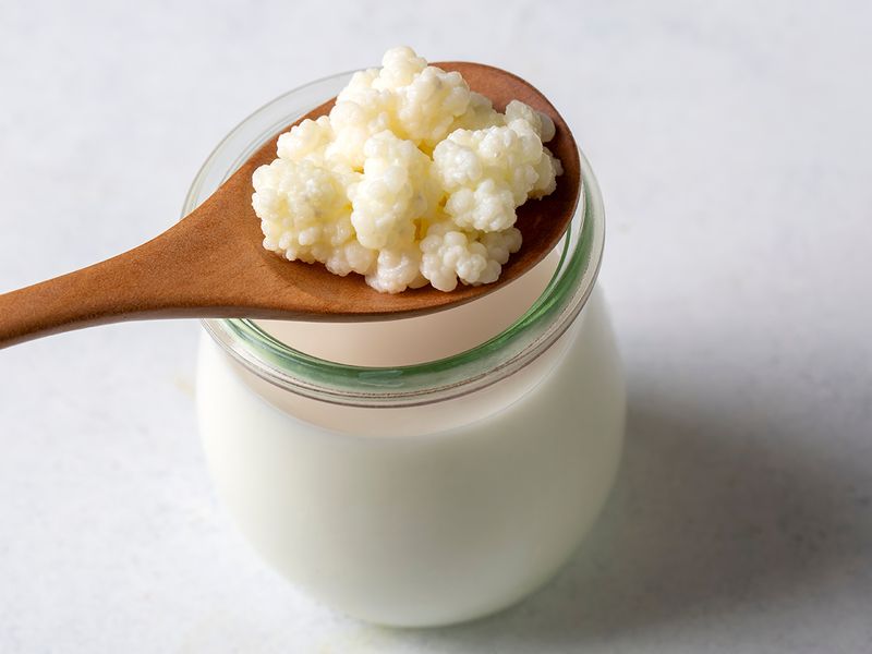 Kefir grains