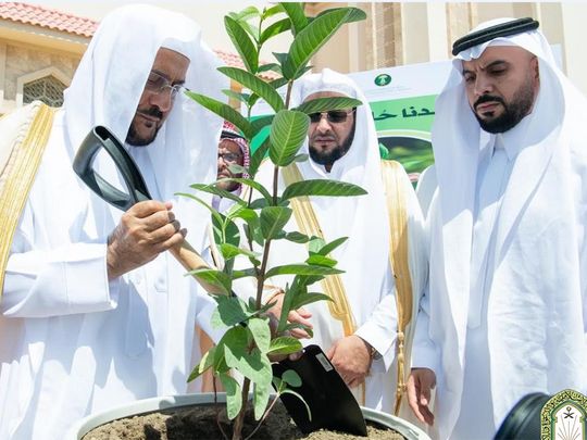 Saudi Minister of Islamic Affairs Abdullatif Al Sheikh (L) launches the 'green mosque' initiative in Al Baha. 