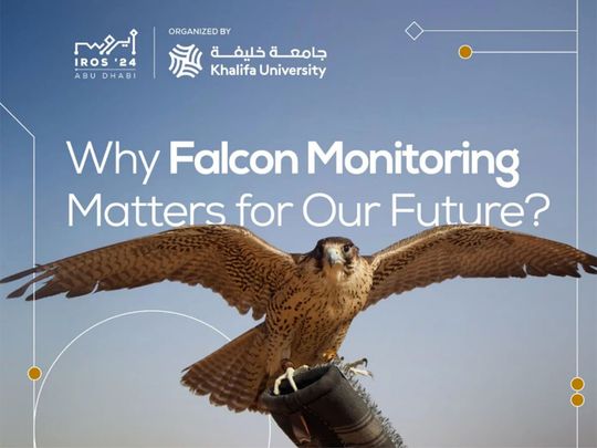 OPN Falcon Monitoring Challenge