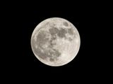 HUNTER SUPERMOON-1728992160161