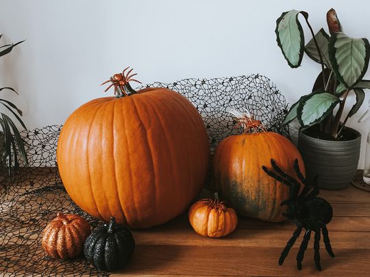 Pumpkin and spider halloween decoration