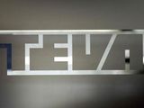 Teva Pharmaceutical Industries