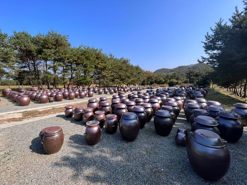 Kubonil Fermentation