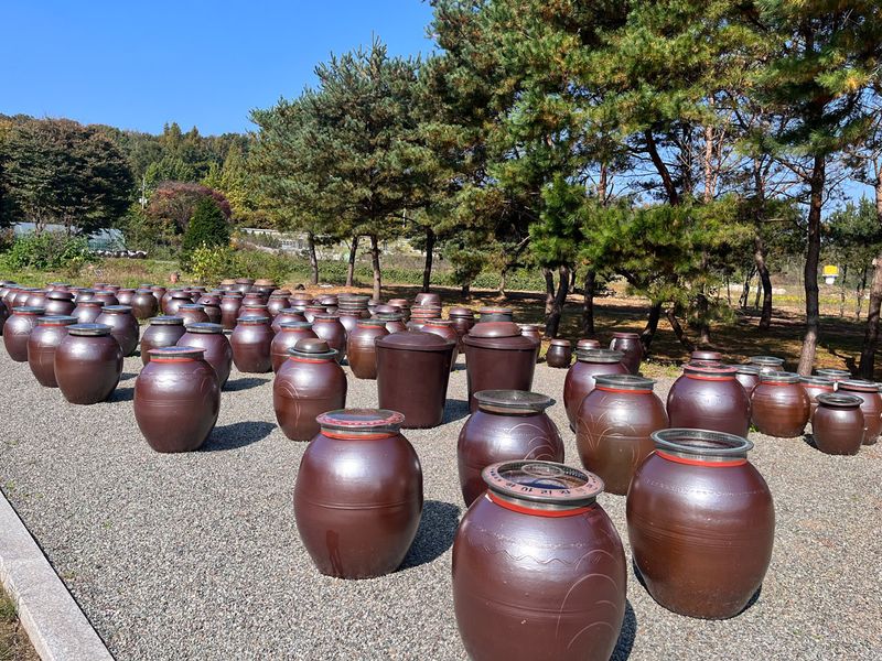 Kubonil Fermentation