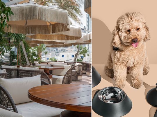 Dine with your pet at this dog-friendly terrace in Dubai